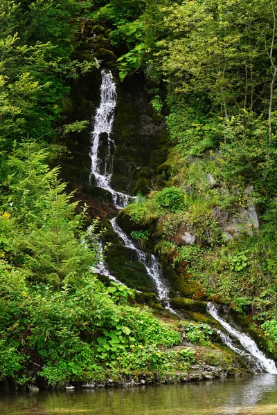 Cachoeira Montanha Floresta Natureza Árvore Verde Musgo Água Cachoeira Madeira — Fotografia de Stock