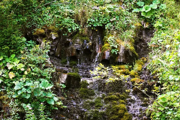 Mountain Waterfall Forest Nature Tree Green Moss Water Waterfall Wood — Stock Photo, Image