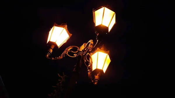 Gece lambaları, şehir, gece, sarı ışık, aydınlık, karanlık, arka ışık
