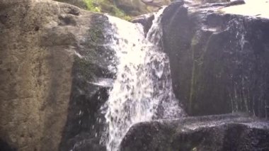 Ormandaki şelale, dokunulmamış orman, şelale, taşlar, kayalar, orman, arka plan, şelale, su, doğa, şelale, şelale, nehir, düşme, kaya, dağ, dere, şelale, orman, dağlar, ilkbahar, dere, akarsu