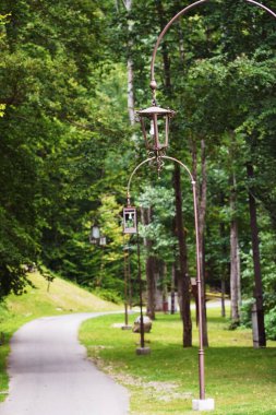 Parkın yolunda bisiklet, park, ağaç, ağaçlar, doğa, yol, manzara, orman, yaz, çimen, bahçe, yol, seyahat, 