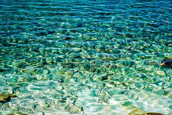 Rib Clear Sea Water Rocky Seabed Adriatic Sea — Stock Photo, Image