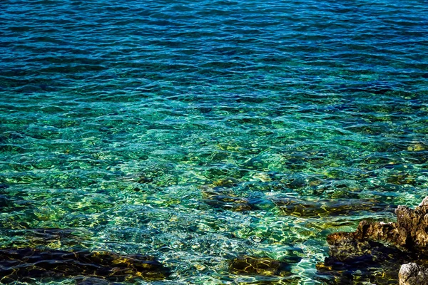 Rib Clear Sea Water Rocky Seabed Rocks Adriatic Sea — Stock Photo, Image