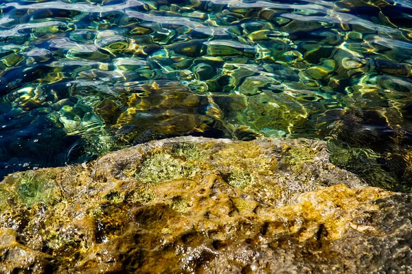 Rib Clear Sea Water Rocky Seabed Rocks Adriatic Sea — Stock Photo, Image