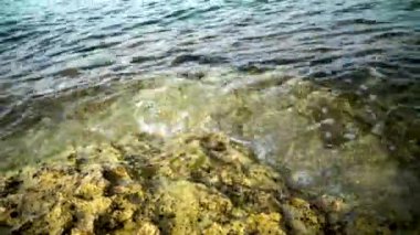 Dalgalanan su, kıyıları yıkayan dalgalar, Adriyatik Denizi