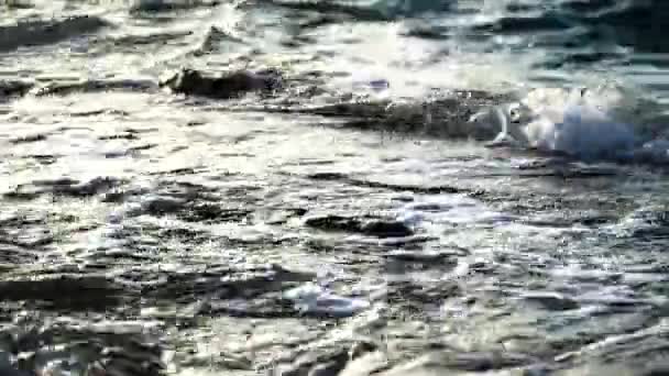 Piękny Przypływ Morski Wieczorem Fale Myjące Się Nad Skałami Morze — Wideo stockowe
