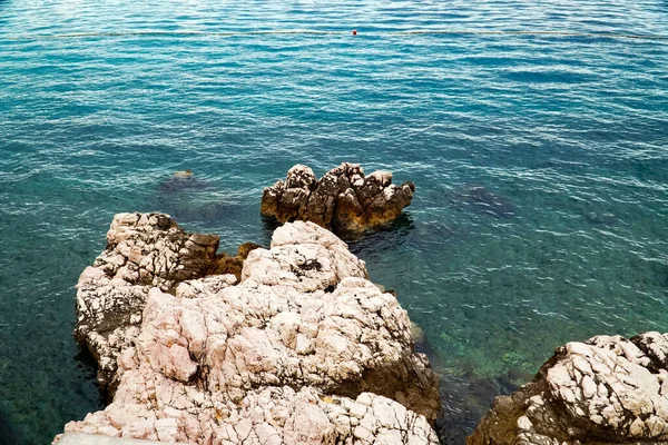 Rocks Sprouting Sea Water Rocky Shoreline Adriatic Sea — Stock Photo, Image