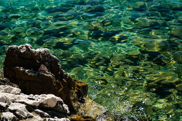 Clear Sea Water Stones Growing Out Water Sea Surface Adriatic — Stock Photo, Image