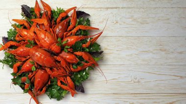 Taze kaynamış kırmızı kerevit tabakta parlak bir masada yatıyor.