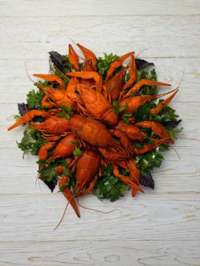 Taze kaynamış kırmızı kerevit tabakta parlak bir masada yatıyor.