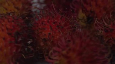 Taze kırmızı rambutan tropikal meyve grubunun makro pozu. Görüntüler, kıllı derinin benzersiz dokusunu ve canlı renkleri detaylı bir şekilde vurguluyor. Egzotik meyve temaları, sağlıklı organik yaşam tarzı ve tropik tarım için ideal.