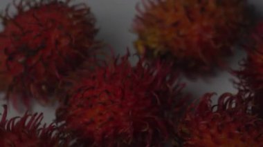 Makro yakın plan olgun kırmızı rambutan meyveleri. Temiz bir arka planda hareket eden tüylü deri dokusuna sahip egzotik tropikal meyveler. Gıda, sağlıklı yaşam tarzı ve Güneydoğu Asya tarım kavramları için yüksek kaliteli 4K görüntüler.