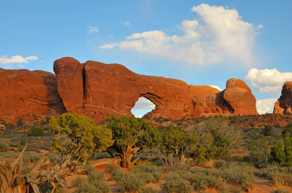 Arches National Park, Utah, Usa — Stockfoto