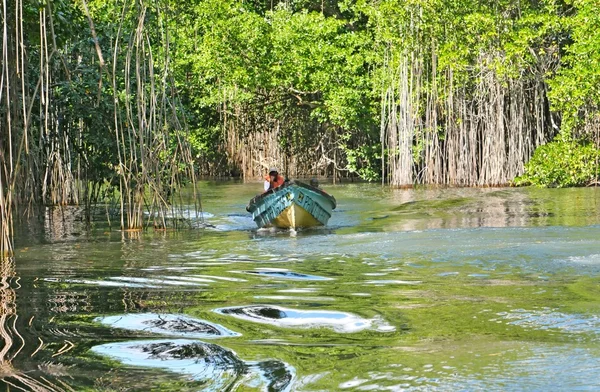 Wycieczka statkiem po rzece czarny w poszukiwaniu krokodyle, Black River na Jamajce, 01.03.2015 Rozpoczęcie zapisów — Zdjęcie stockowe