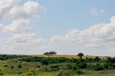 masai mara ulusal rezervi