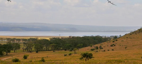 Lake Nakuru National Park, Kenya — Stock Photo, Image