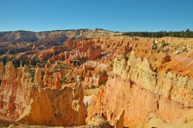 Bryce Canyon Milli Parkı, Utah, ABD