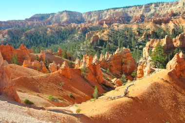Bryce Canyon Milli Parkı, Utah, ABD