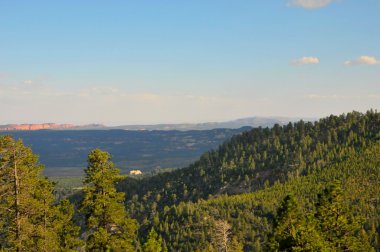Dixie Ulusal Ormanı, Utah, ABD