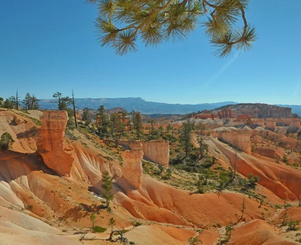 Parque Nacional Bryce Canyon, Utah, EE.UU. —  Fotos de Stock