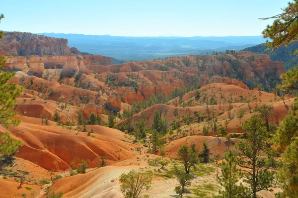 Parque Nacional Bryce Canyon, Utah, EE.UU. —  Fotos de Stock