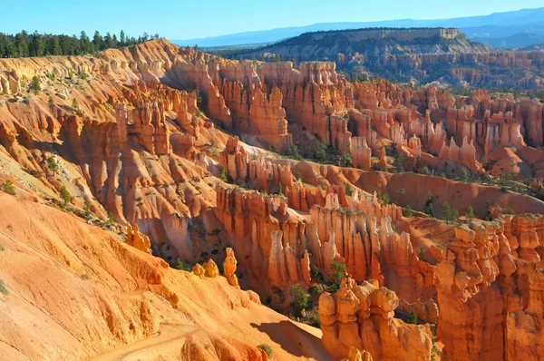 Parque Nacional Bryce Canyon, Utah, EE.UU. —  Fotos de Stock