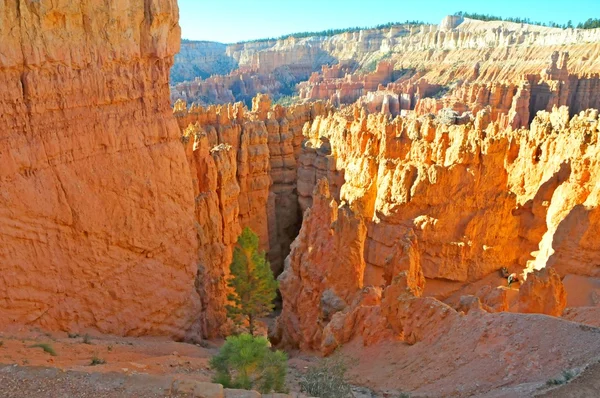 Bryce Canyon National Park, Utah, EUA — Fotografia de Stock