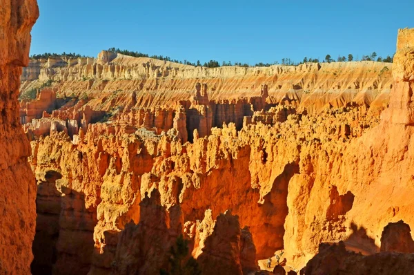 Parque Nacional Bryce Canyon, Utah, EE.UU. —  Fotos de Stock