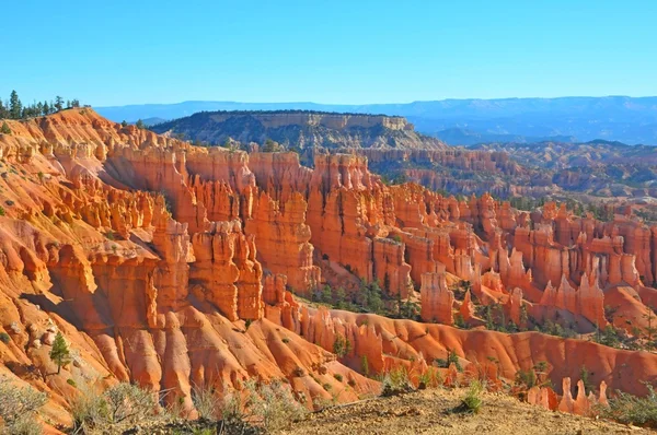 Parc national de Bryce Canyon, Utah, États-Unis — Photo