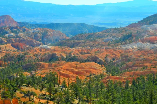 Bryce Canyon National Park, Utah, Usa — Stock Fotó