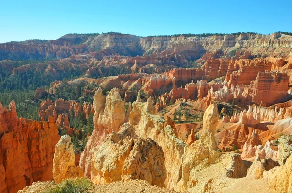 Parque Nacional Bryce Canyon, Utah, EE.UU. —  Fotos de Stock