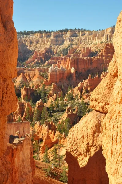 Parque Nacional Bryce Canyon, Utah, EE.UU. —  Fotos de Stock