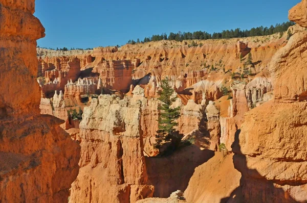 Parque Nacional Bryce Canyon, Utah, EE.UU. —  Fotos de Stock