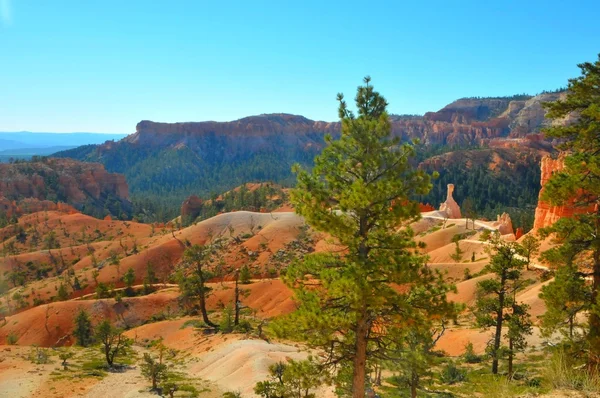 Parque Nacional Bryce Canyon, Utah, EE.UU. —  Fotos de Stock