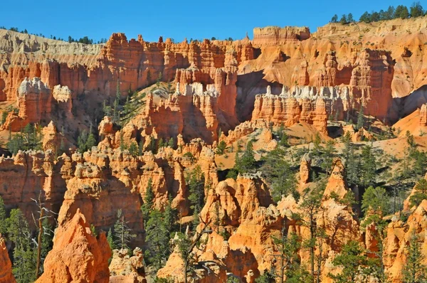 Parque Nacional Bryce Canyon, Utah, EE.UU. —  Fotos de Stock