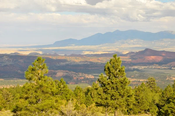 Dixie National Forest, Utah, EUA — Fotografia de Stock