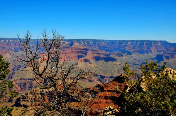 Grand Canyon National Park, Kanab, Arizona, Stati Uniti — Foto Stock