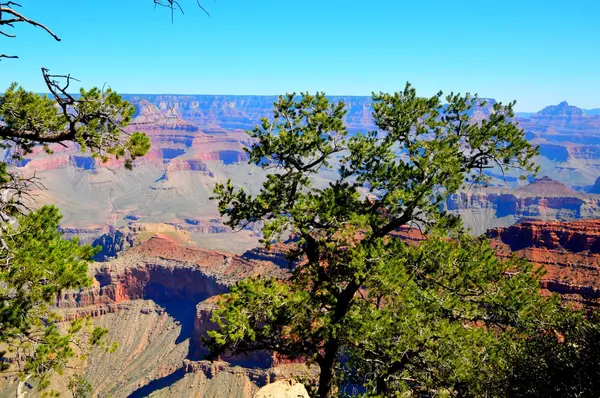 Grand Canyon National Park, Kanab, Arizona, Usa — Stockfoto