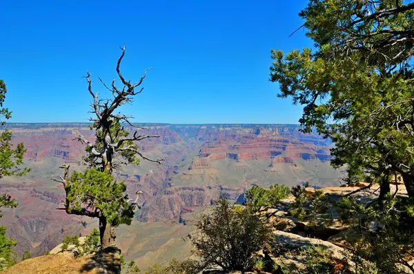 Grand Canyon Nationalpark, kanab, arizona, die Vereinigten Staaten — Stockfoto