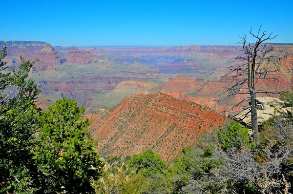 Grand Canyon National Park, Kanab, Arizona, Usa — Stockfoto