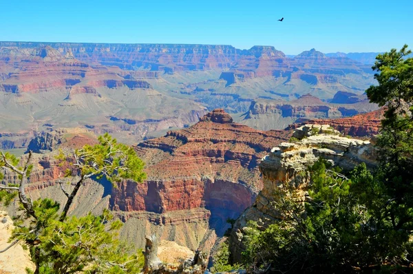 Grand Canyon National Park, Kanab, Arizona, de Verenigde Staten Rechtenvrije Stockfoto's
