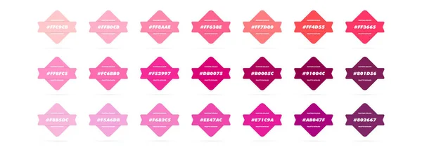 Pinke Pastellfarbenpalette Vektor Katalog Muster Rosa Rgb Hex Farbkatalog Vektor — Stockvektor