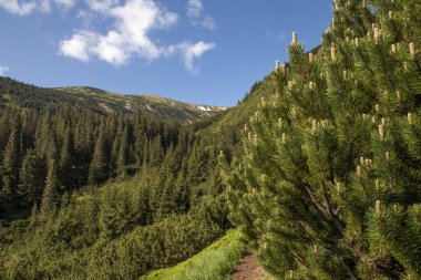 Yazın bulutların arasında dağlar