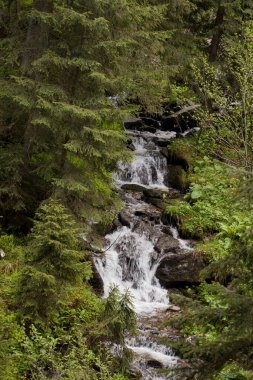 Dağlarda, taşların arasında bir dere bir pınar.