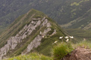 Kayalar ve taşlarla dolu dağ sıraları