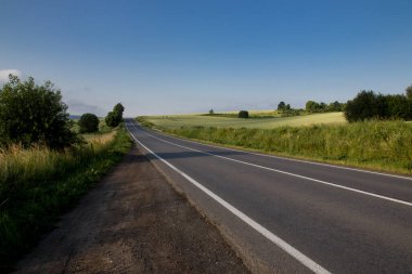 Mavi gökyüzünün arka planında buğday tarlası