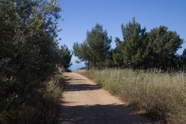 Denize giden toprak yol