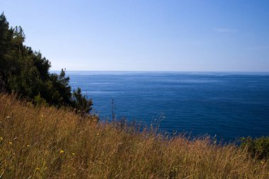 Denizde ve mavi gökyüzünde bir ada