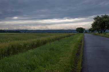 Asfalt yol ve ekili tarlalar ve bulutlu gökyüzü
