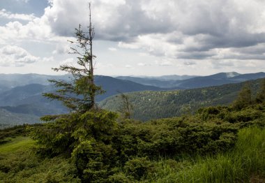 Tepeler ve bulutlar üzerlerinde